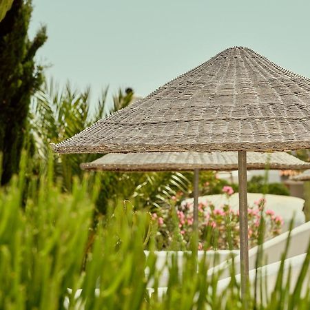 La Posidonia Apartamento Rodalquilar Exterior foto