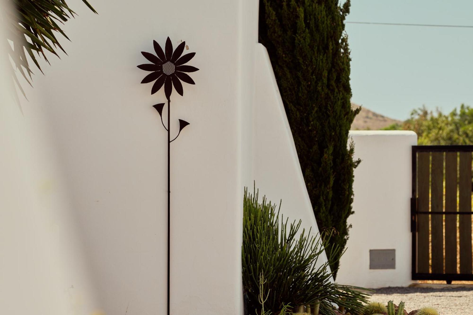 La Posidonia Apartamento Rodalquilar Exterior foto